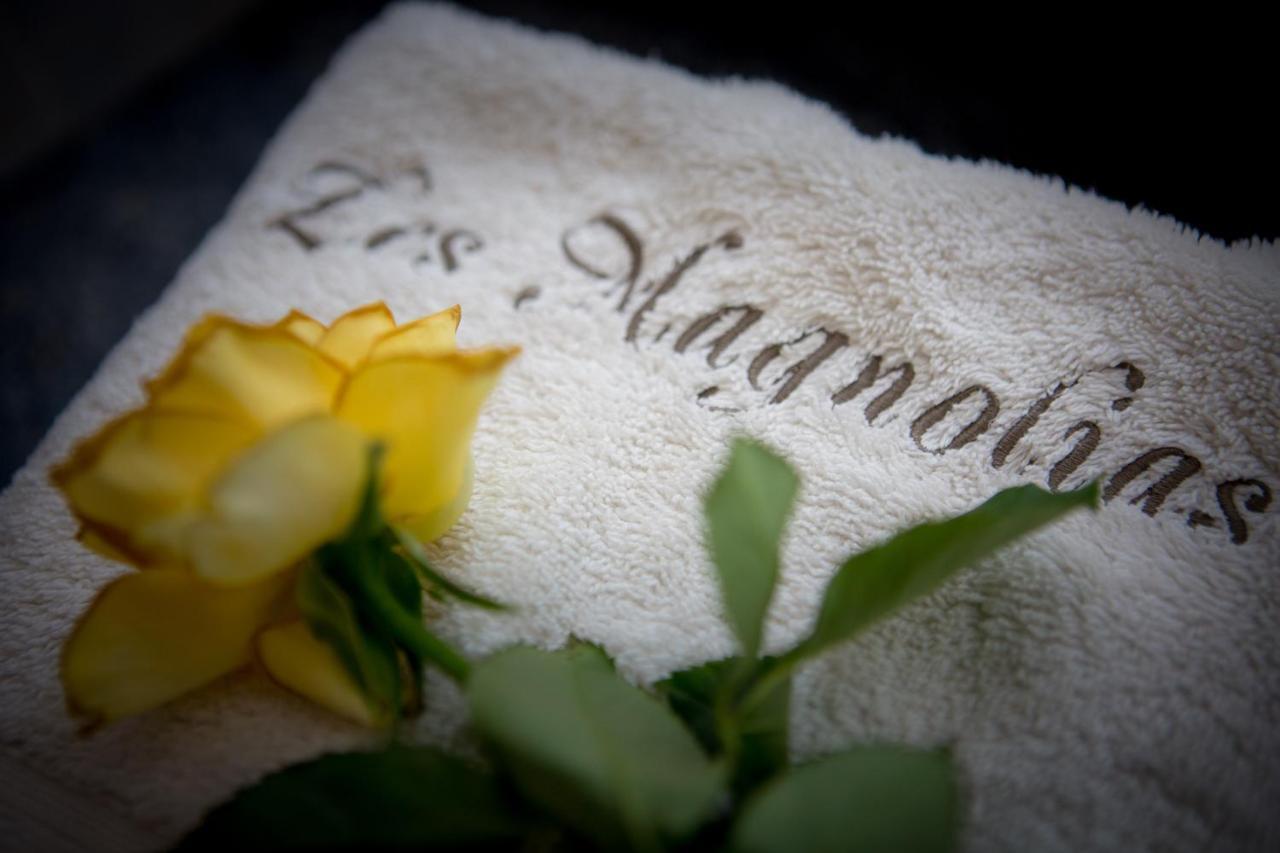 Les Magnolias Holiday Homes Lalinde Eksteriør bilde